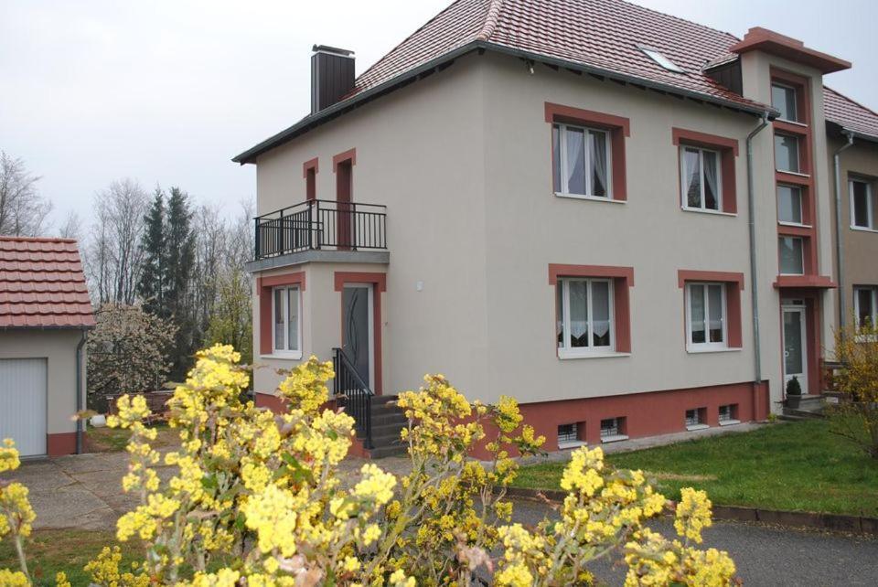 Au Logis Du Simserhof Hottviller 外观 照片
